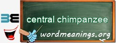 WordMeaning blackboard for central chimpanzee